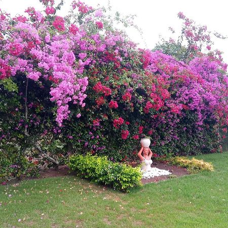 Casa Rustica Em Gravata Villa Ngoại thất bức ảnh